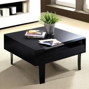 This is Black Coffee Table with plant and magazine placed on top of it.